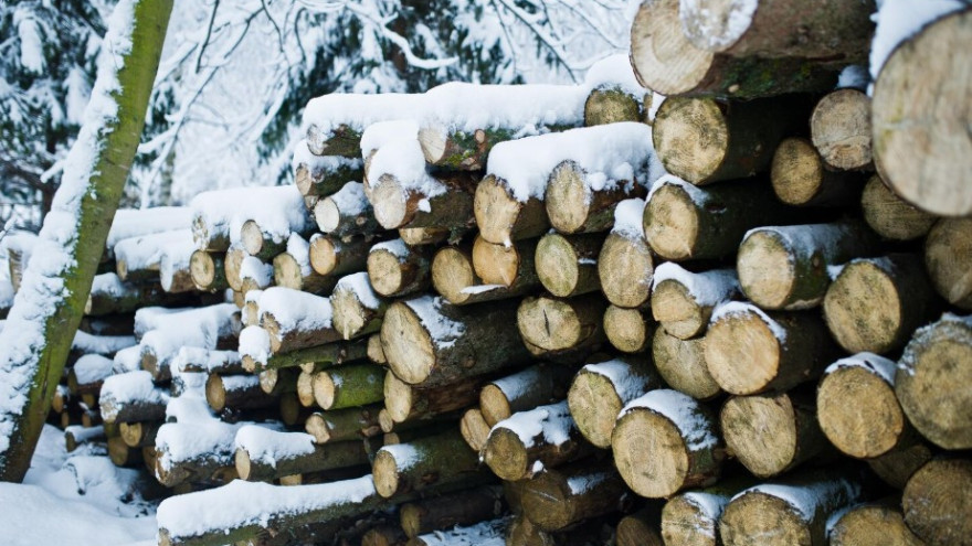Студенческий Снежный десант отправится помогать жителям Шурышкарского района