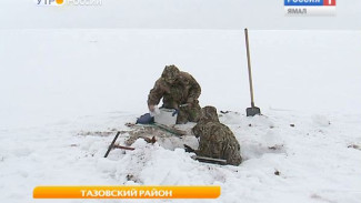 Метан и климат. Озера Тазовского под пристальным вниманием ученых