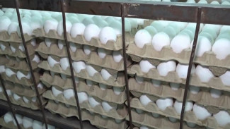 Продукция «Пышминской» птицефабрики сошла с полок ямальских магазинов