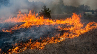 На Ямале за сутки потушили четыре природных пожара