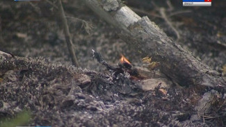 12 лесных пожаров сегодня действуют на Ямале: оперативная сводка