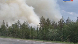 На Ямале разбушевались лесные пожары