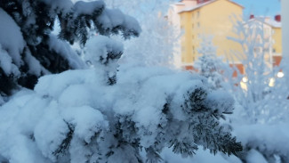 13 января на Ямале будет тепло и снежно