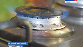Сотрудники ямальских газовых компаний начали проверку оборудования в домах своих абонентов