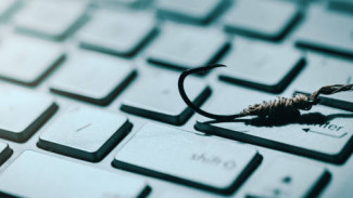 Азы кибербезопасности: школьникам Ямала рассказали, как не попасться на удочку интернет-мошенников