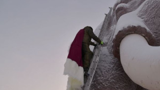 100 метров бордовой ткани и белоснежного меха: мамонт Митя встречает Новый год в новой одежде