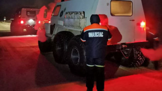 Ямальские спасатели эвакуировали в больницу двух маленьких тундровиков
