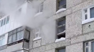 При пожаре в Пангодах погибла женщина