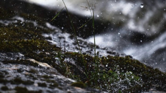 В ЯНАО 23 апреля ожидаются осадки и ночные заморозки