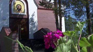 Муравленко заиграл яркими красками: город украсили тысячи цветов