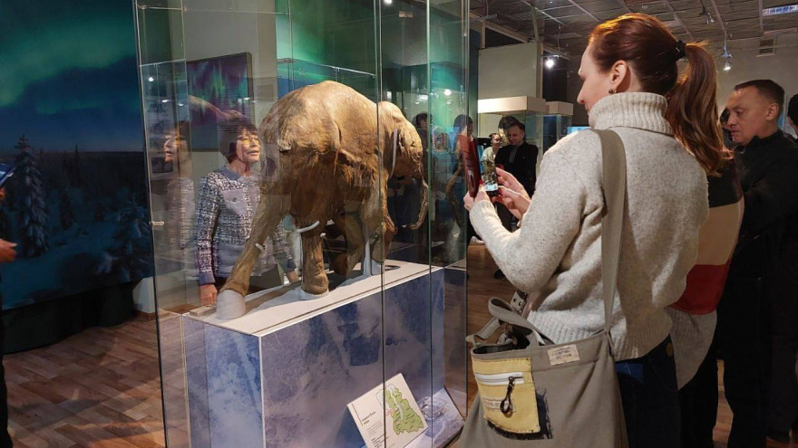 Мамонтёнок Люба рассказывает историю Ямала в Улан-Удэ