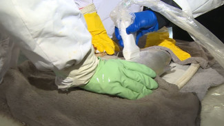 На Ямале обследуют сиговые породы рыб с использованием ультразвуковой диагностики