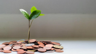 Ямальцы могут сменить страховщика пенсионных накоплений до 1 декабря