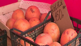 В Новом Уренгое у проверяющих возникло много вопросов к торговцам фруктами 