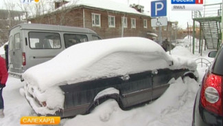 Ямальские активисты проверили парковки на наличие мест для инвалидов