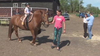 Конный клуб Архангельска возвращается к обычной жизни - лечить особенных детей общением с лошадьми