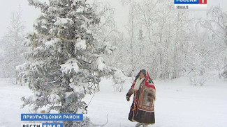 Во сколько ямальцам обойдется новогодняя ёлочка?