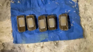 Жителю Нового Уренгоя грозит до 10 лет тюрьмы за хранение наркотиков в крупном размере