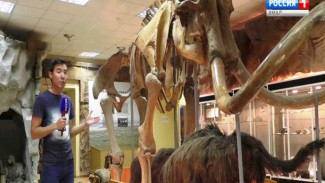 В Якутии найдены останки двухметрового мамонта