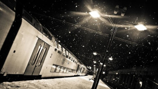В ЯНАО пассажир попал под «уголовку» за пьяный дебош в поезде и нападение на полицейского