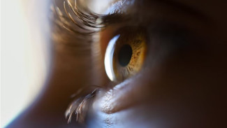 7 привычек, которые помогут сохранить зрение – советы офтальмолога
