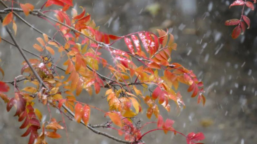 Погода в Салехарде: дождь со снегом и порывистый ветер