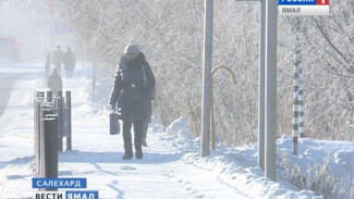 Количество безработных на Ямале в прошлом году заметно увеличилось