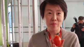 Послы стран Евразии посетили Новый Уренгой