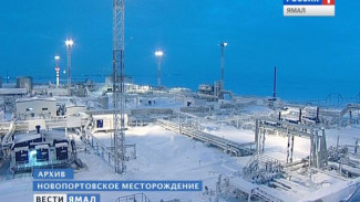 Добыча нефти на Новопортовском месторождении в 2016 году может превысить 2,5 млн тонн