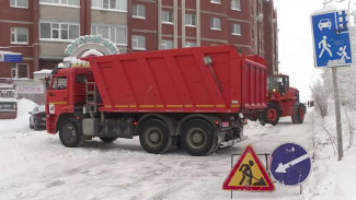 Дождь и туман уступают место снегопадам — наступил сезон заморозков