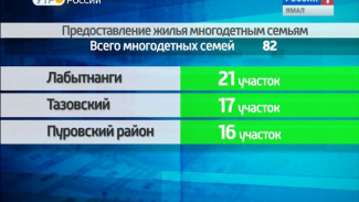 С начала года на Ямале 82 многодетные семьи получили земельные участки