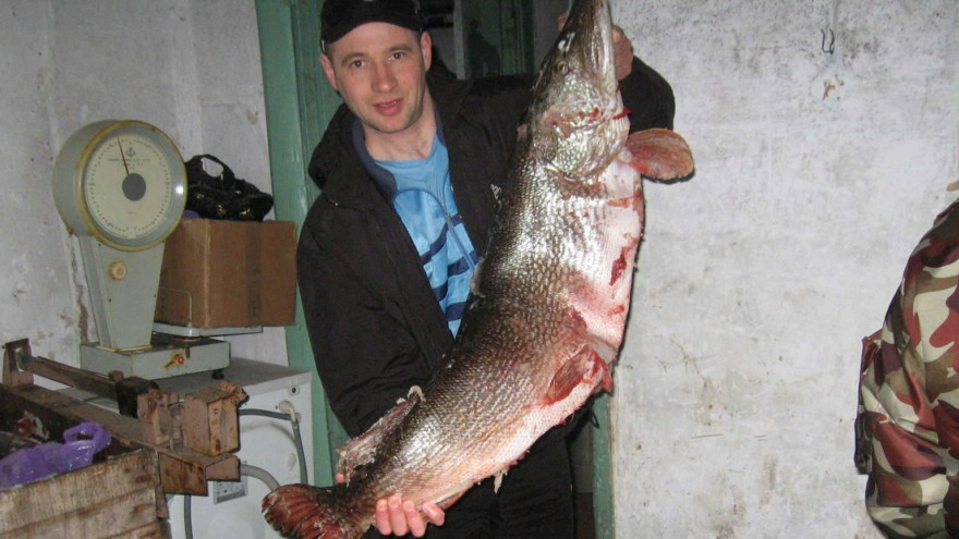 Сказочный улов: рыбак на Ямале выловил гигантскую щуку