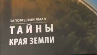 Фотоальбом «Заповедный Ямал. Тайны края земли» скоро увидят жители округа