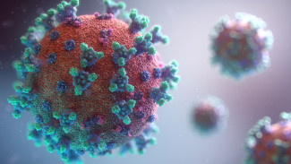 На Ямале выявлено 158 новых случаев заражения коронавирусом