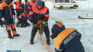 29 купелей готовят на Ямале к празднованию Крещения