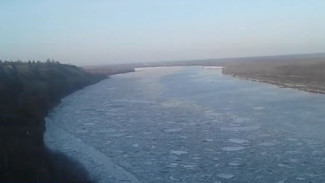 Весна набирает обороты, лёд на Оби тронулся: есть ли опасность подтопления сёл и посёлков