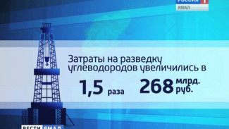 В 2013 году затраты компаний на геологоразведку составили около 307,5 млрд. рублей