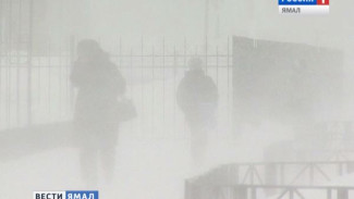 Ямальские синоптики обещают в ближайшие дни перепады температур и штормовые ветра