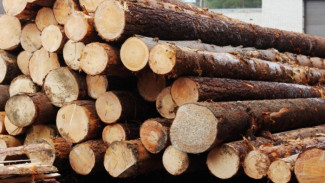 Как Толькинская лесоперерабатывающая компания продолжает работать в условиях дефицита древесины