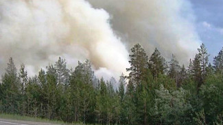 На Ямале уже приступили к борьбе с лесными пожарами