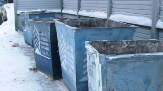 Участники проекта «Будущее Арктики» проверили своевременность вывоза мусора в Салехарде