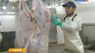 На Ямале заготовлено почти полторы тысячи тонны мяса, что составляет 88 процентов от плана
