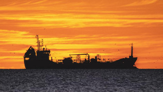 Российский экспорт нефти по морю вырос до самого высокого уровня за год