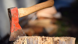 В ЯНАО завершено расследование дела о расправе над двумя женщинами в селе Азовы