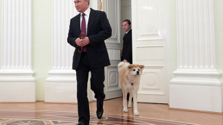 Владимир Путин показал журналистам свою «строгую» собаку Юмэ