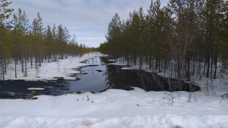 Ямальская прокуратура начала проверку после разлива нефтепродуктов на Суторминском месторождении