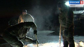 На Ямале осудили браконьеров за незаконную добычу осетра