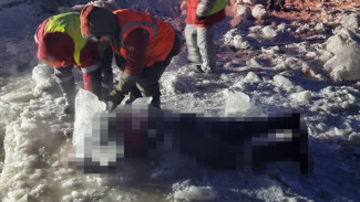 Искали несколько дней: на Ямале спасатели достали из воды тело мужчины ВИДЕО