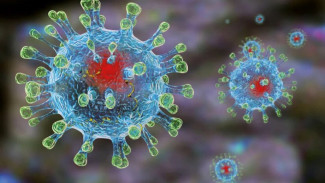 147 симптомных, 86 бессимптомных: актуальные данные по коронавирусу на Ямале