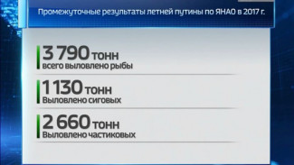 На Ямале определена тройка предприятий-лидеров по вылову рыбы